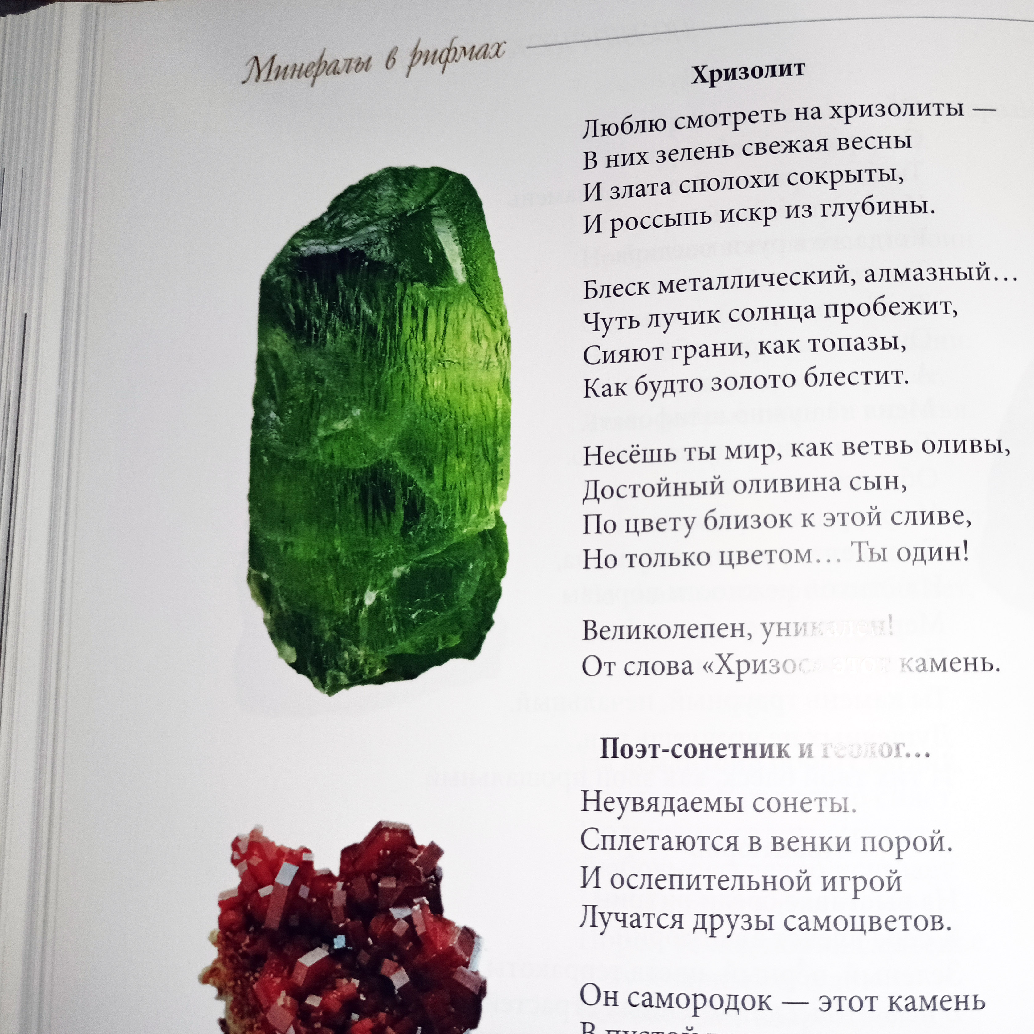 подарок книга по геологии
